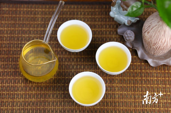 茶.png 茶.png