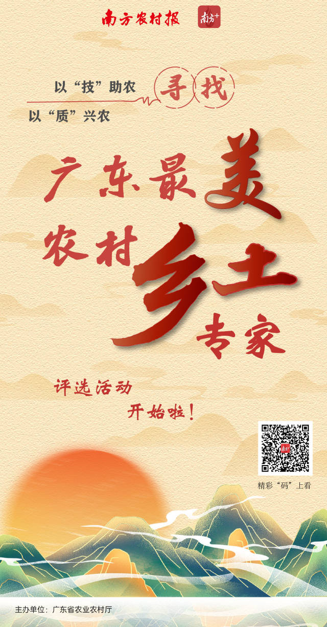 最美乡土专家.jpg