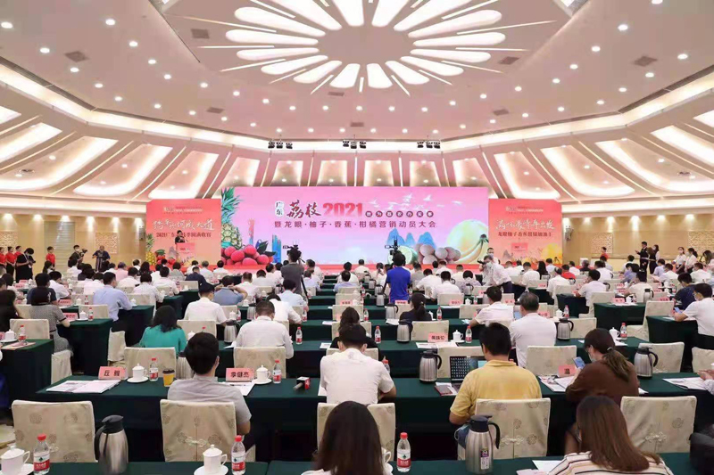 会议现场.jpg
