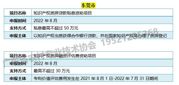 知识产权.jpg